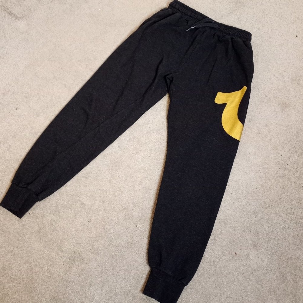 True Religion Sweat Pants